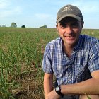 Miscanthus is key part of farm risk management strategy