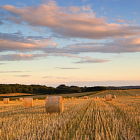 Harvest review from our farms manager