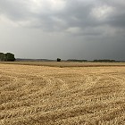 Harvest '22 review from our farms manager