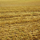 Mid-Tier Countryside Stewardship: Can it work for you?