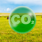 Carbon audits: What's involved?