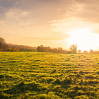 Sustainable Farming Incentive pilot applications open
