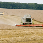 The benefits of joint-venture farming