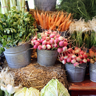 Food standards petition