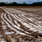 Join us at the Institute of Agricultural Management’s November webinar