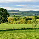 Is the Sustainable Farming Incentive right for you?