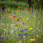 New environmental compliance and management package launched